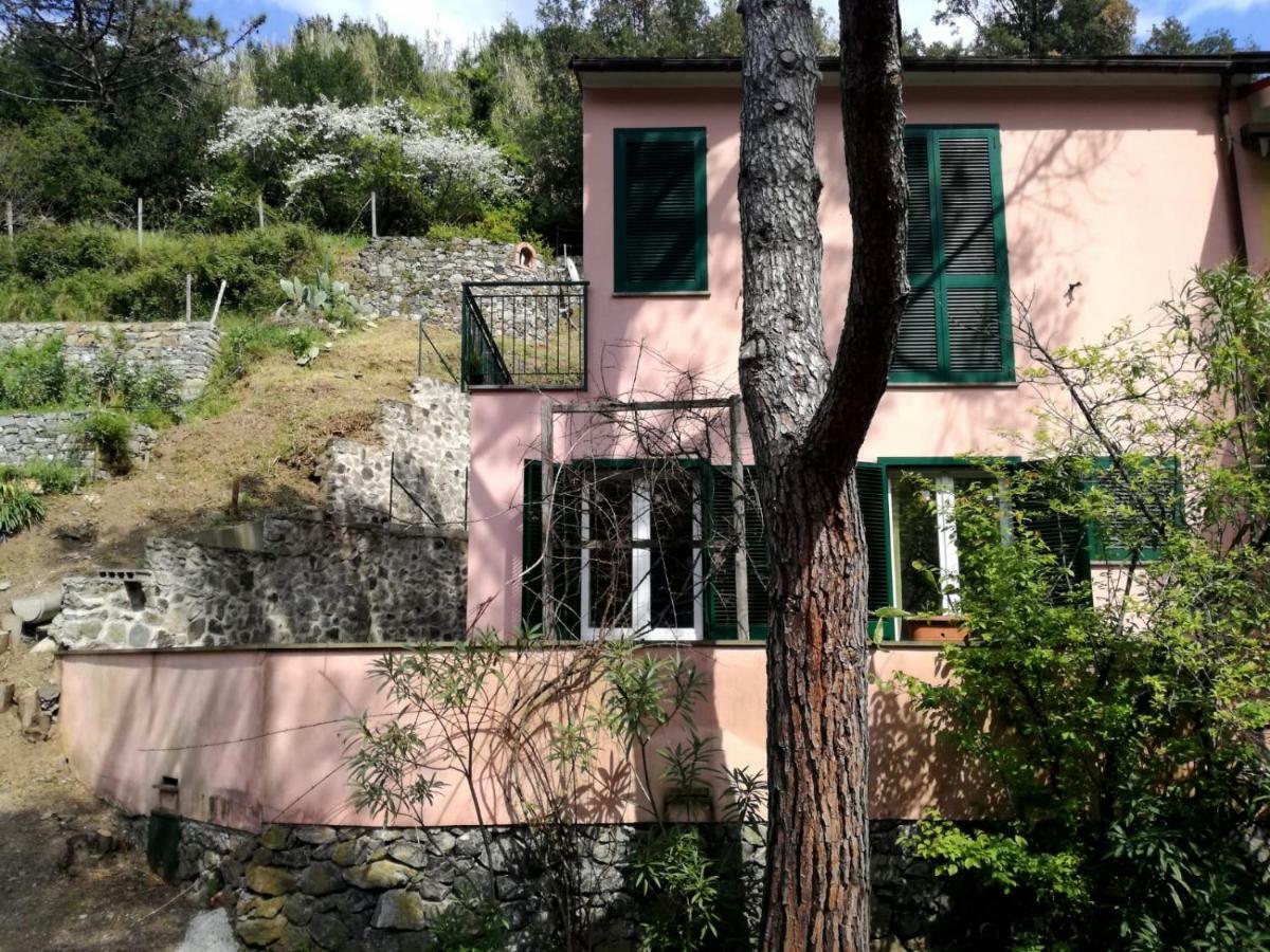 Terrace & Parking - Holiday Home Near Fegina Beach Monterosso al Mare Eksteriør billede